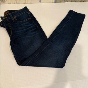 Joe's Jeans Dark Indigo Skinny Jeans